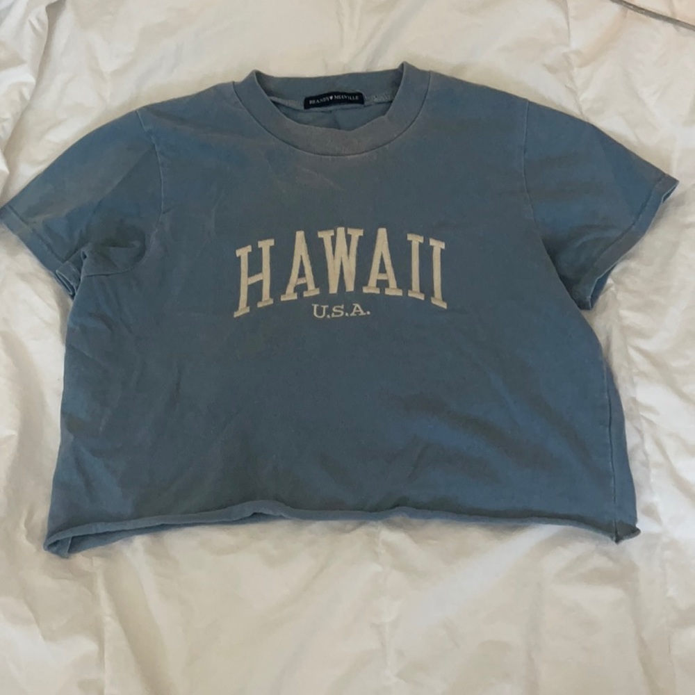 Brandy Melville Crop top